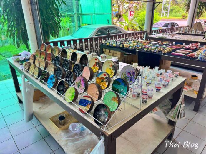 ココナッツファーム