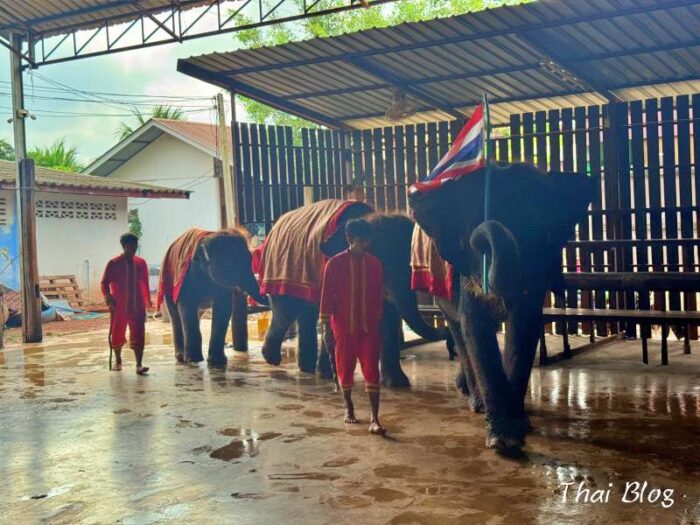 エレファントビレッジ